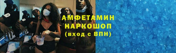 индика Алексин