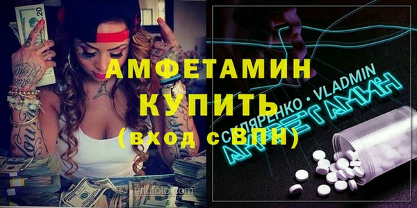 индика Алексин