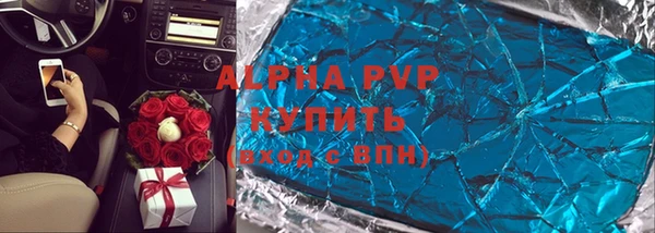 индика Алексин