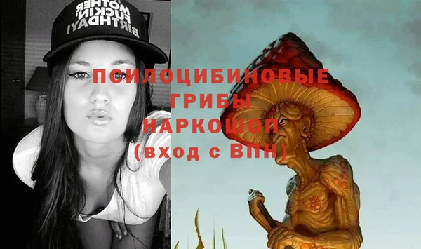 скорость Алзамай