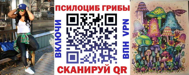 MEGA как зайти  Лянтор  Галлюциногенные грибы GOLDEN TEACHER 