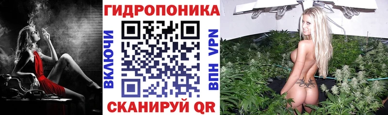 Шишки марихуана VHQ  blacksprut ССЫЛКА  Лянтор 